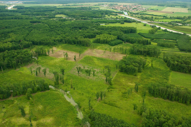 AOPK Soutok. Foto: Jan Miklín